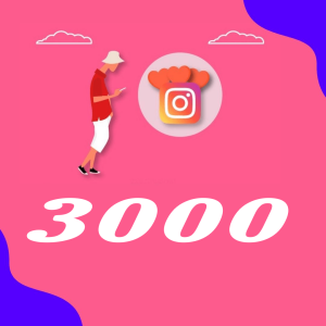 3000 High Quality Followers